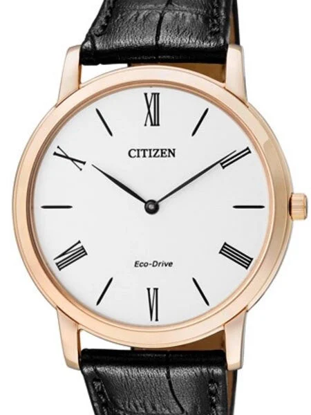 Citizen Eco-Drive AR1113-12B 39 mm kol saati