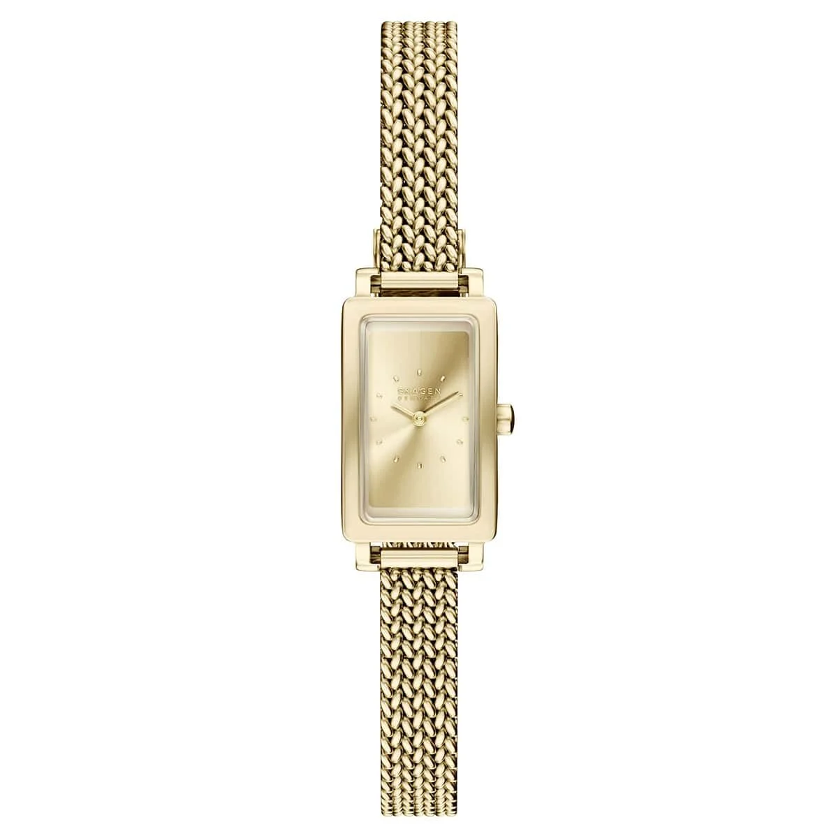 Skagen SKW3178 31 mm kol saati