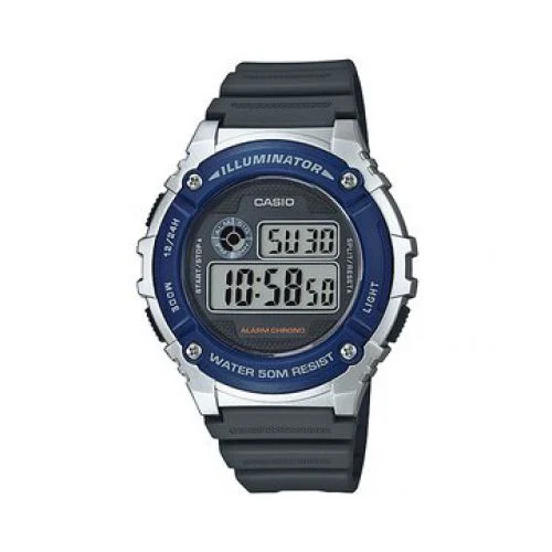 Casio Casio 4971850999072 kol saati