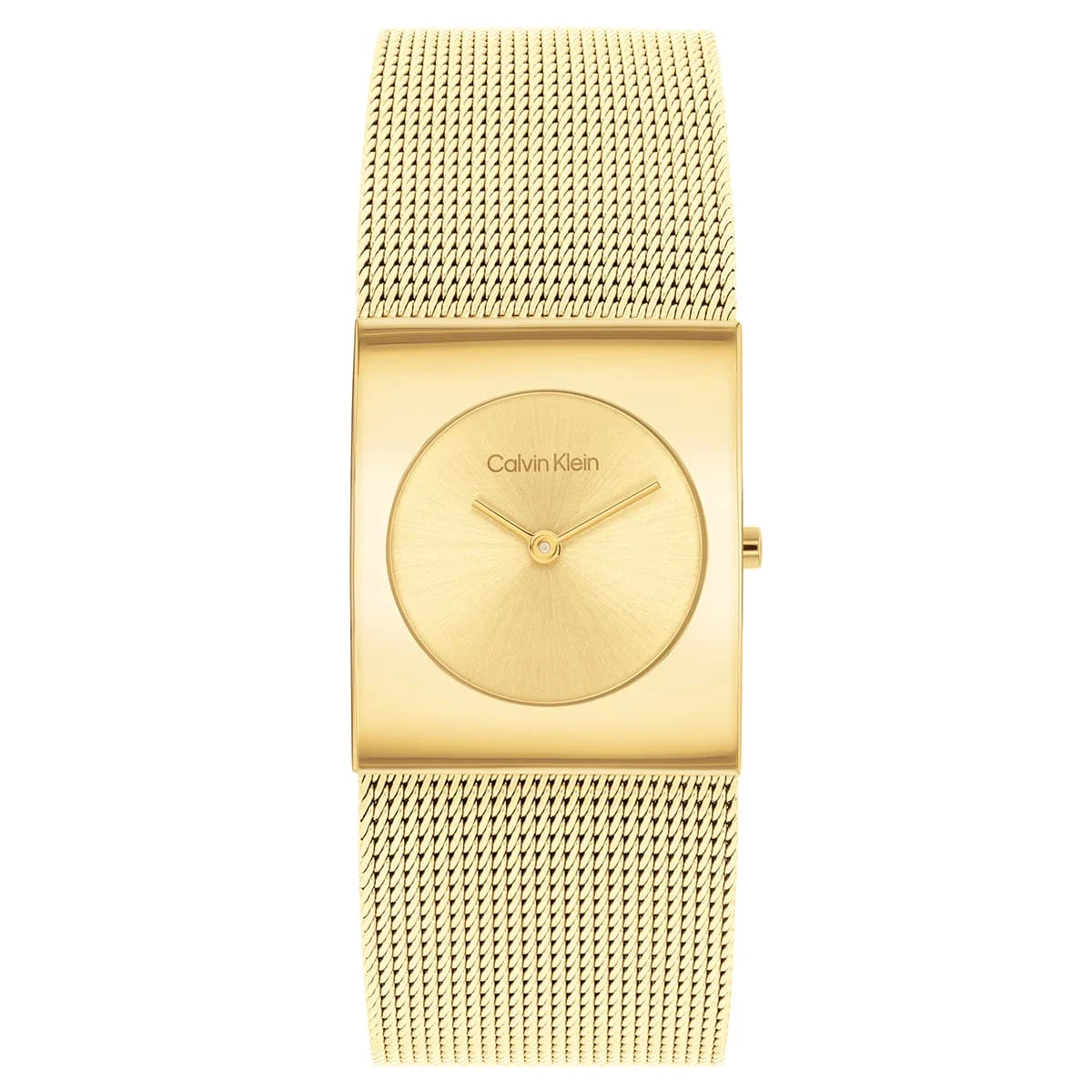 Calvin Klein CK Pulse CK25100062 26 mm kol saati