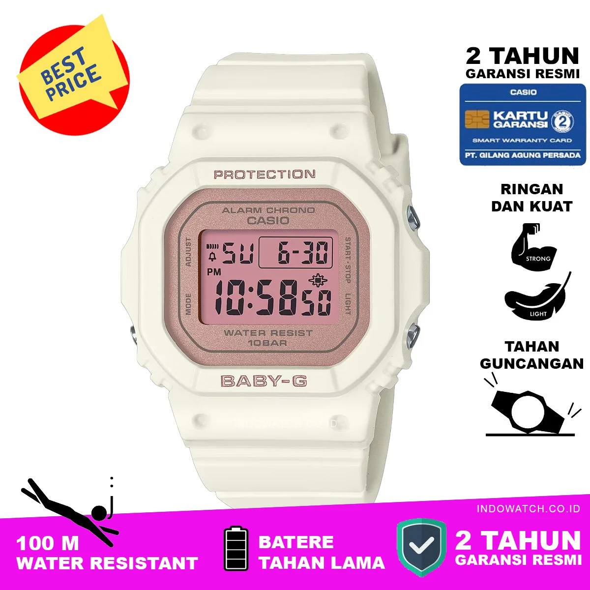 Casio Casio IW_4734929189 37 mm kol saati