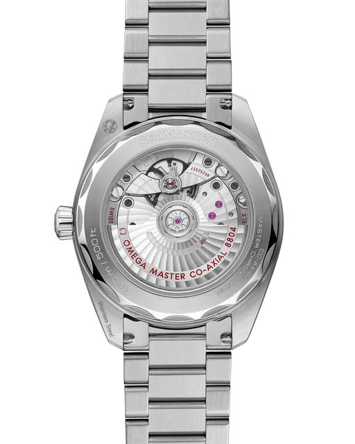 OMEGA Seamaster Railmaster 235.10.38.20.13.001 kol saati