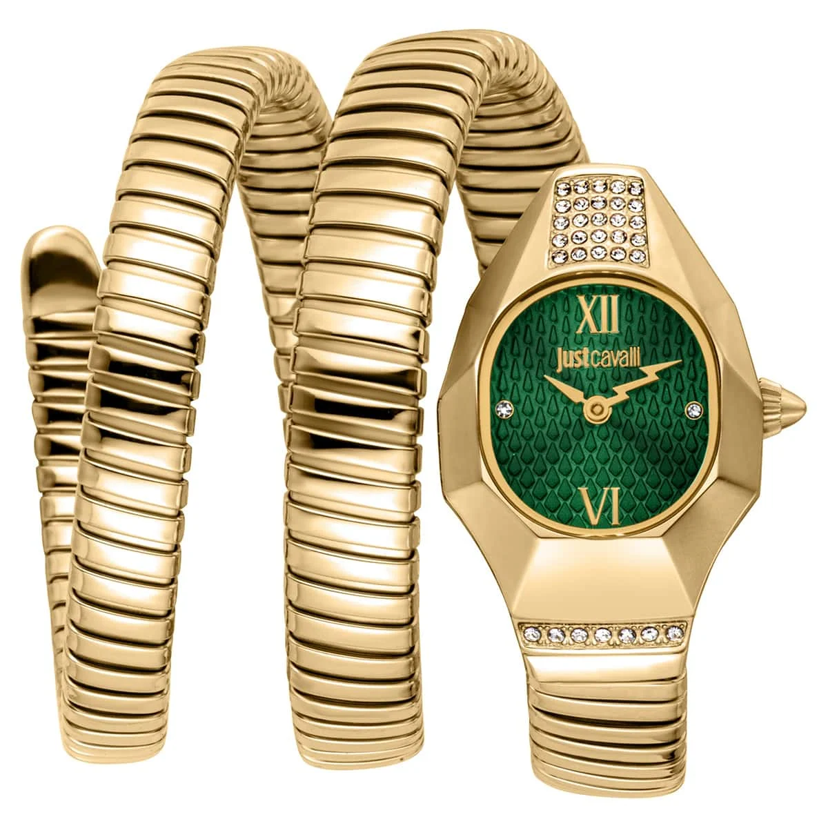 Just Cavalli Romina JC1L397M0045 24 mm kol saati