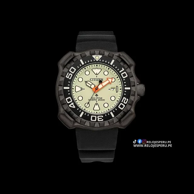 Citizen Promaster 013205157363 kol saati