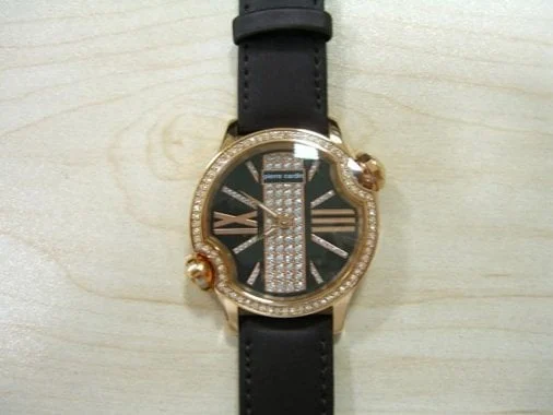 Pierre Cardin 101782F02 kol saati