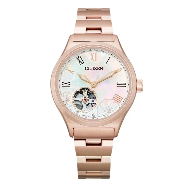 Citizen Citizen PC1007-81D kol saati