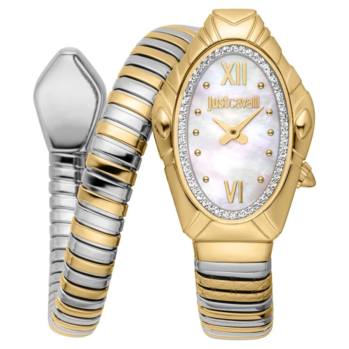 Just Cavalli Lirica JC1L357M0055 25 mm kol saati