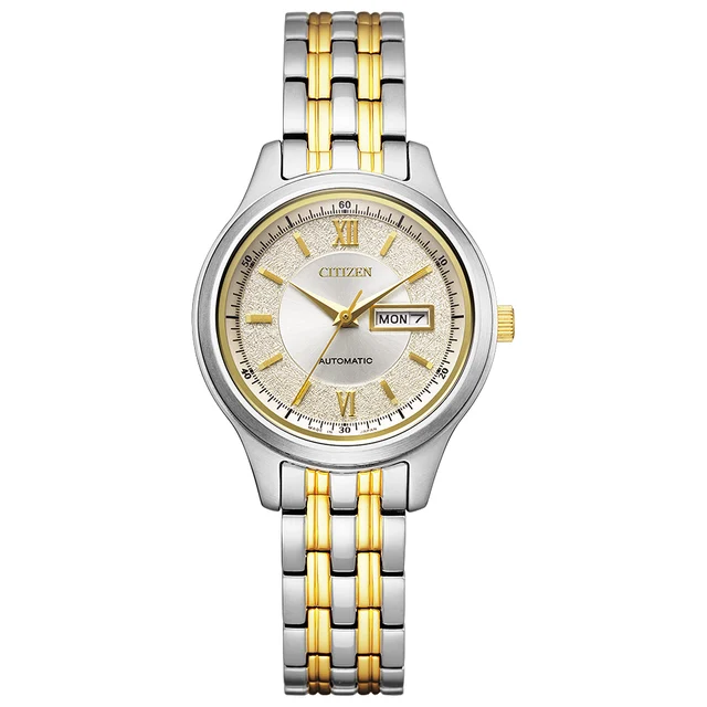 Citizen Citizen PD7154-61P kol saati