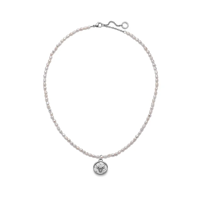 Default Set Taurus Charm und Halskette Silber PH-JE-1302 kol saati
