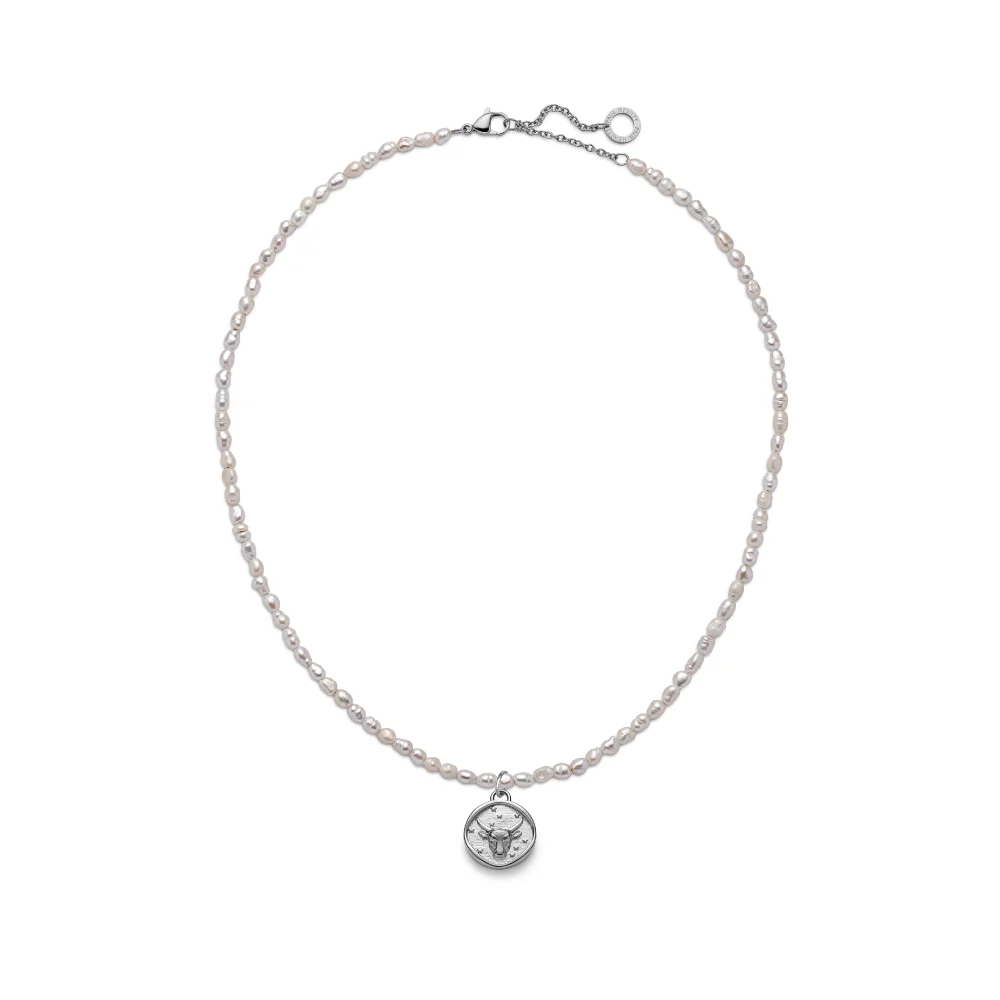 Default Set Taurus Charm und Halskette Silber PH-JE-1302 kol saati