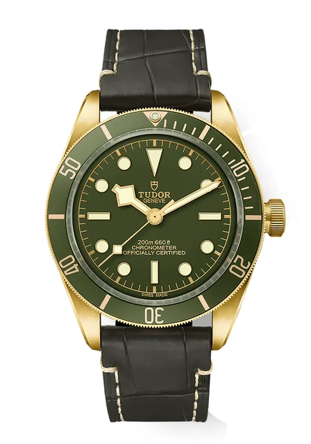 Tudor Black Bay 134704 kol saati