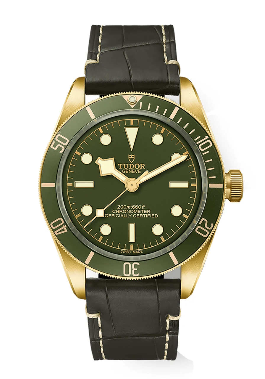 Tudor Black Bay 134704 39 mm kol saati