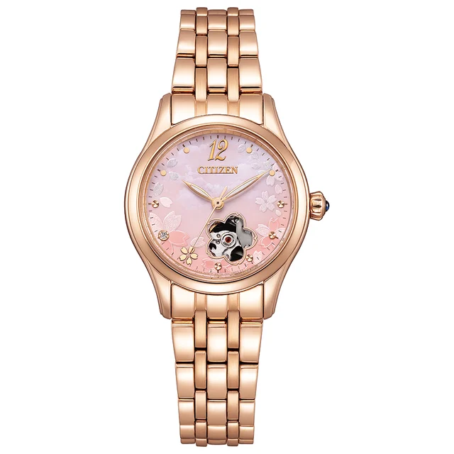 Citizen Citizen PR1042-82Y kol saati