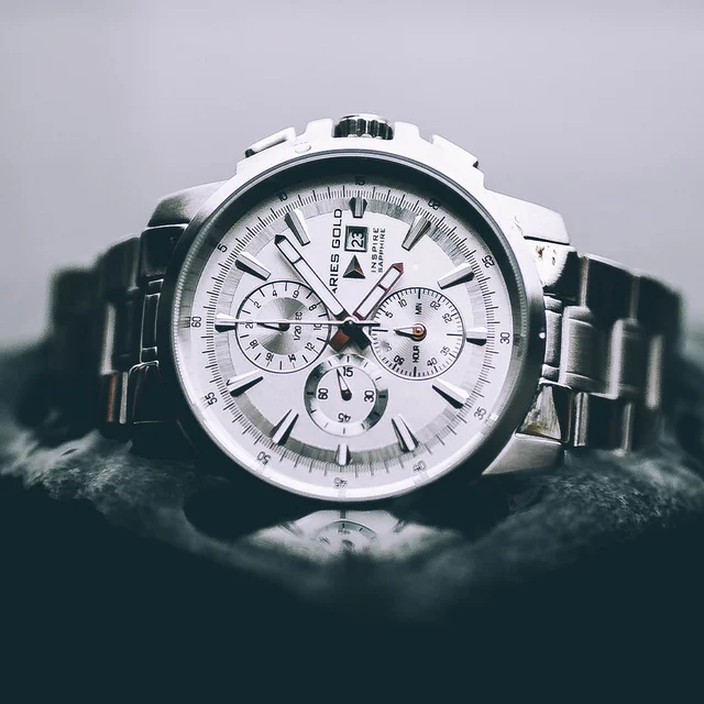 Aries Gold S-silver G 7301 S-SILVER kol saati