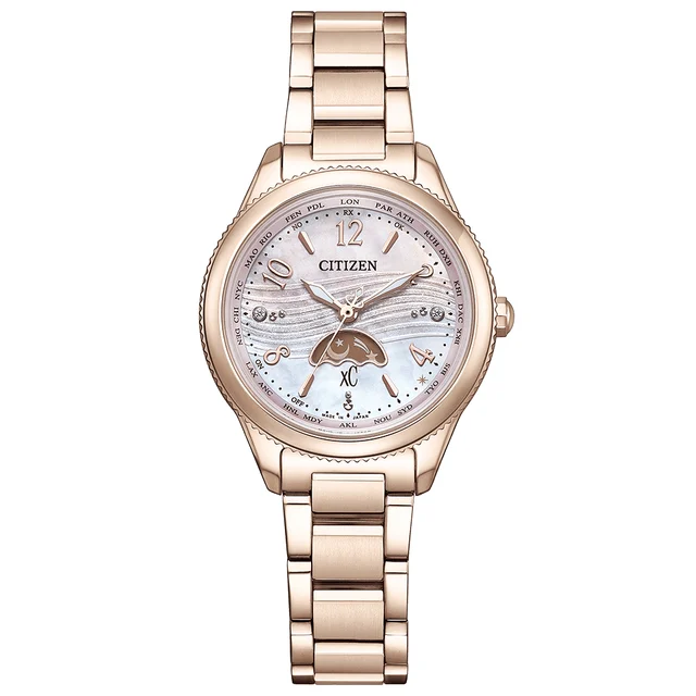 Citizen Citizen EE1004-65N kol saati