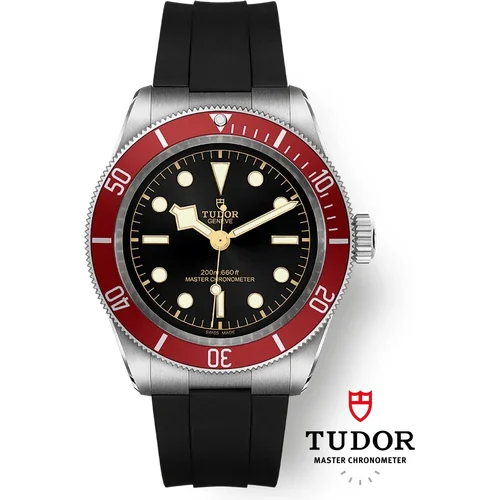 Tudor Black Bay M7941A1A0RU-0002 kol saati