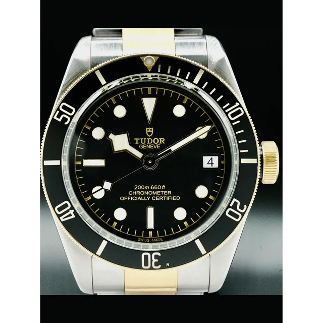 Tudor Black Bay Steel & Gold 210000040169 kol saati