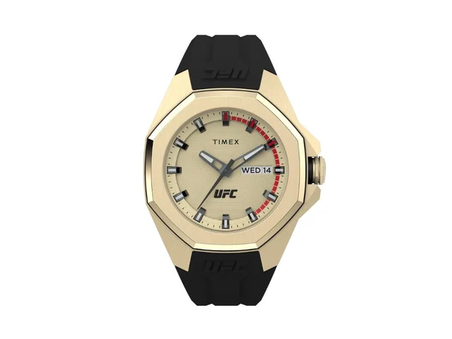 Timex TMX-TW2V57100 kol saati