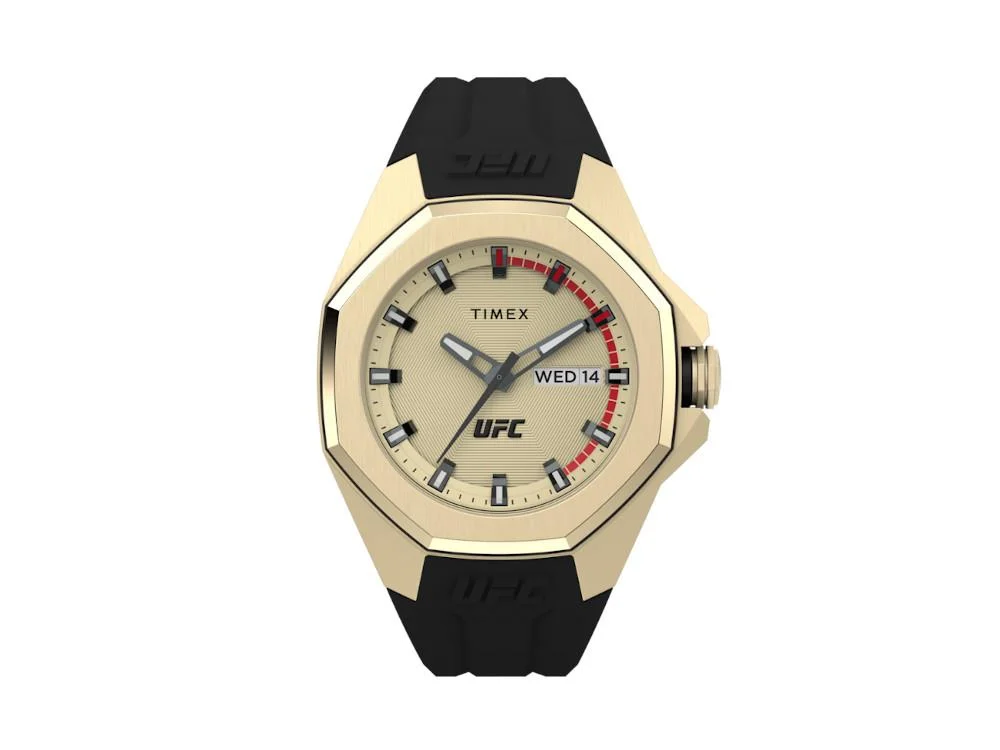 Timex TMX-TW2V57100 44 mm kol saati