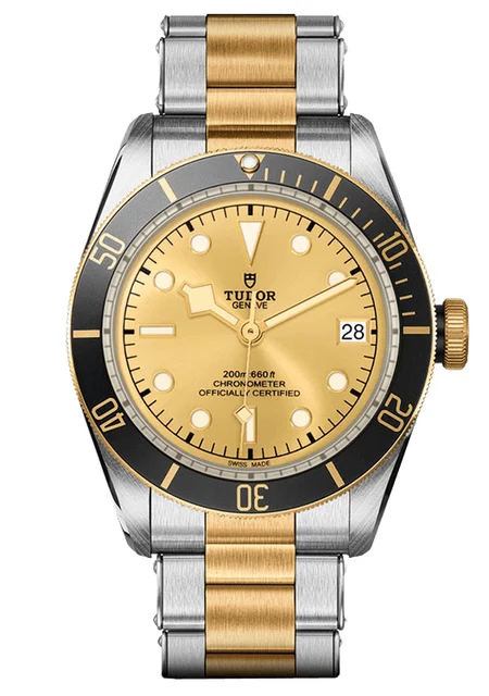 Tudor Black Bay 132552 kol saati