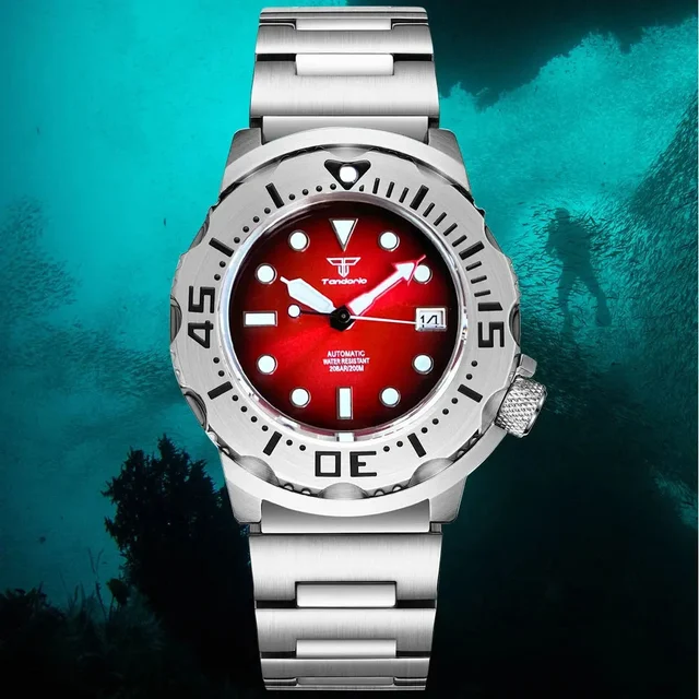 Tandorio Watches Tandorio Watches 12000047679964017 kol saati