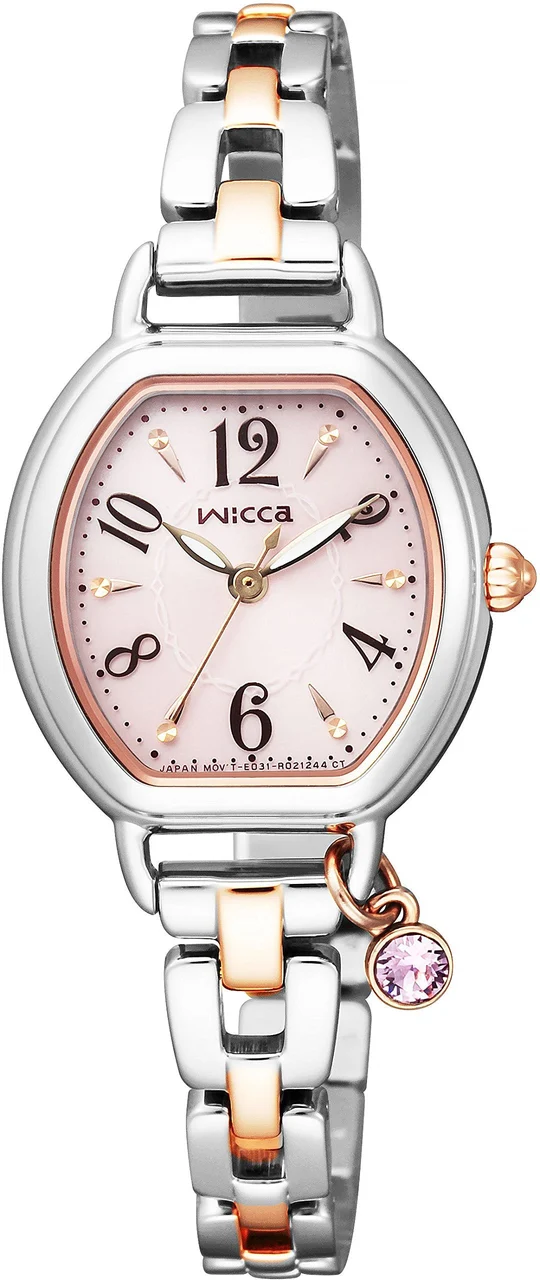 Citizen Citizen KP2-531-91 24 mm kol saati