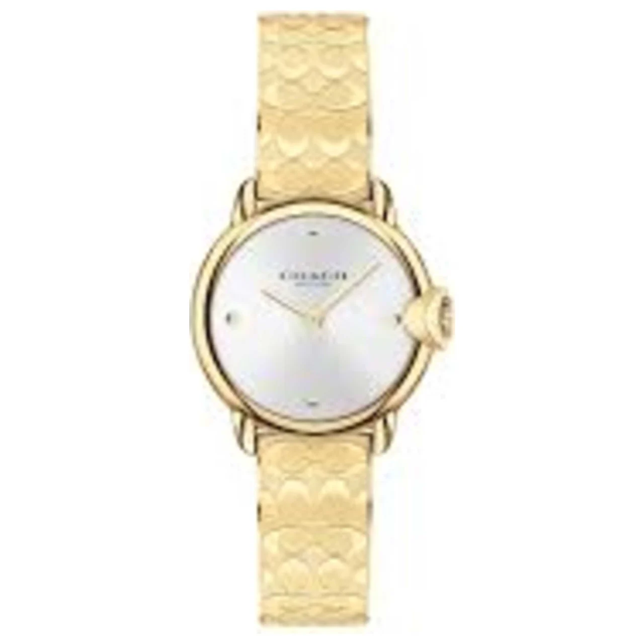 Coach Arden Watch 14503692 kol saati