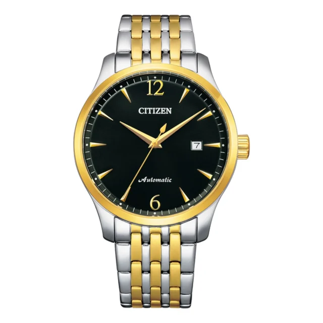 Citizen Citizen NJ0114-84E kol saati