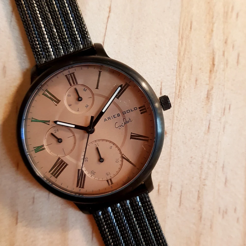 Aries Gold Aries Gold L 5034 BK-BR 38 mm kol saati