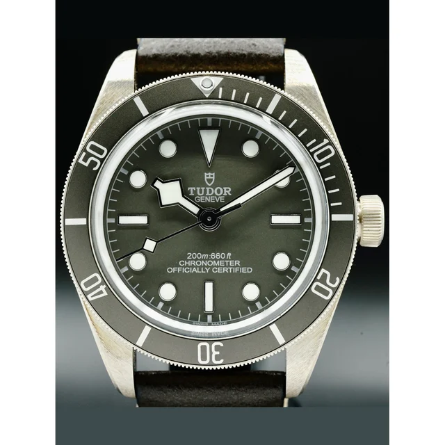 Tudor GMT on Leather 210000056906 kol saati