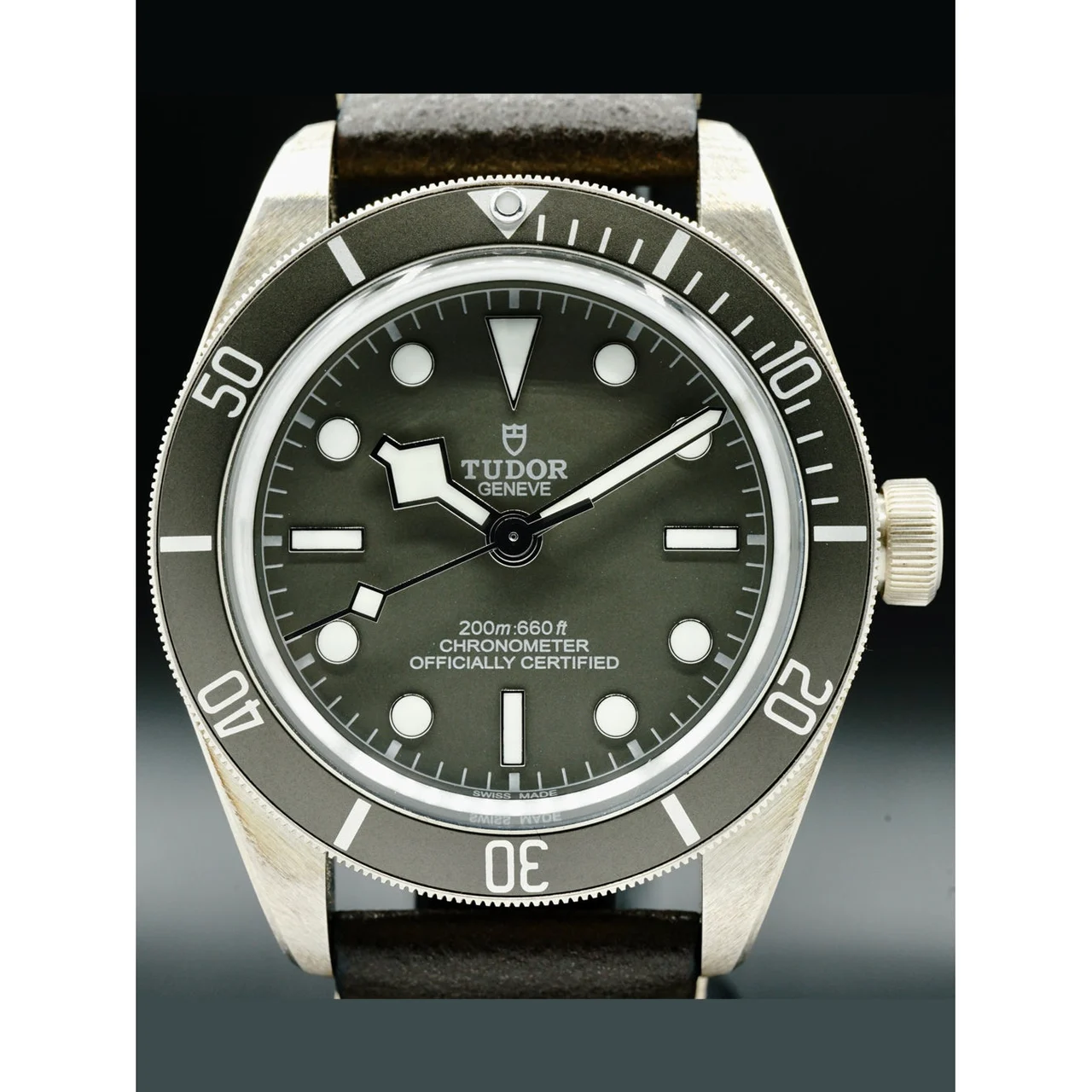 Tudor GMT on Leather 210000056906 39 mm kol saati