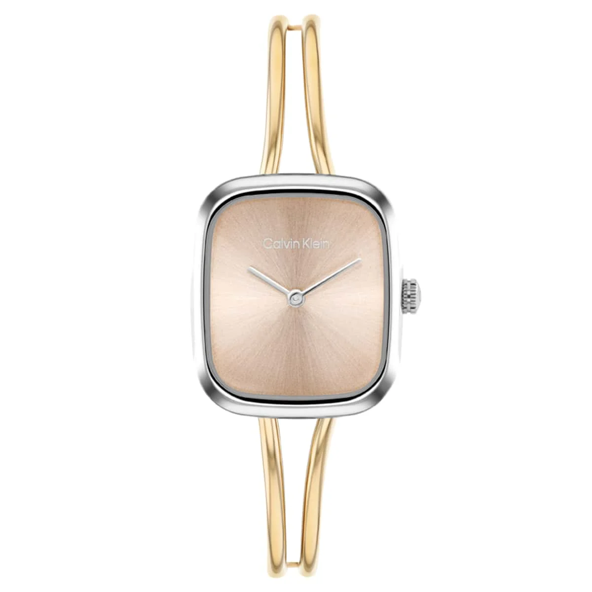 Calvin Klein CK Adore CK25100134 21 mm kol saati