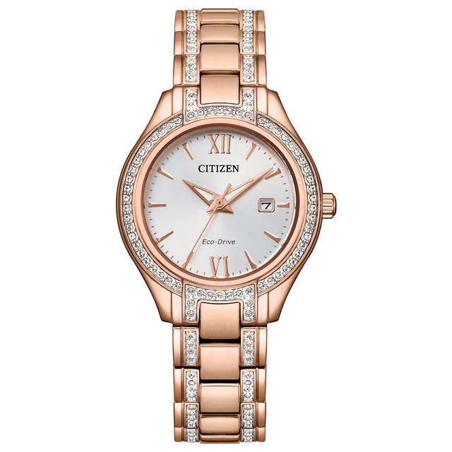 Citizen Citizen FE1233-52A kol saati