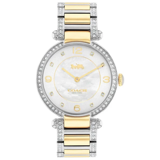 Coach Cary Watch 14503833 kol saati
