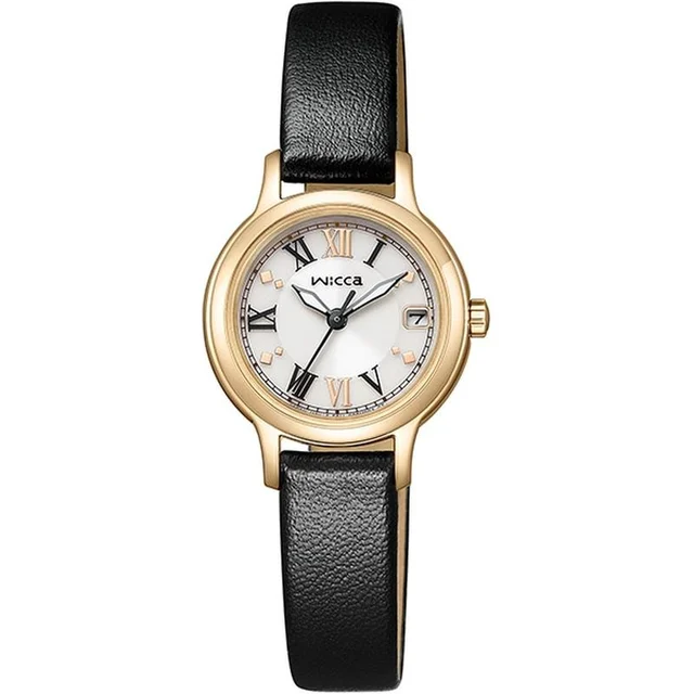 Citizen Citizen KH4-921-92 kol saati