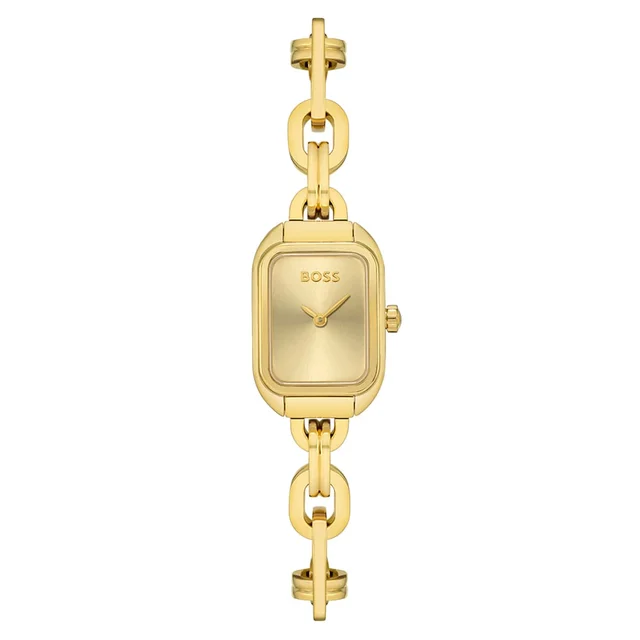 Boss Watches Hailey HB1502655 kol saati