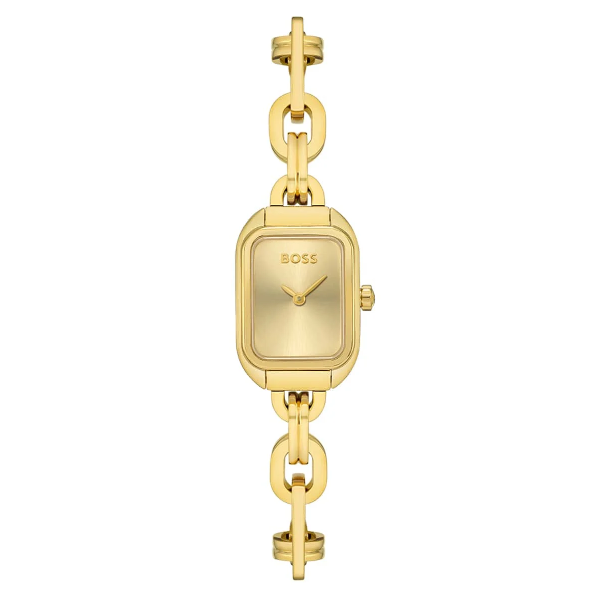 Boss Watches Hailey HB1502655 19 mm kol saati