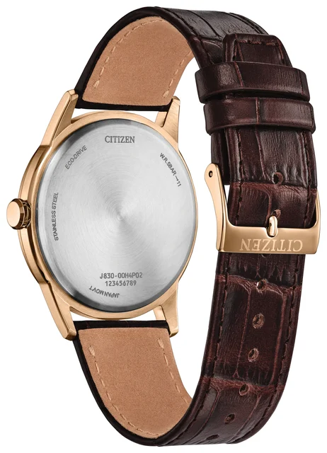 Citizen Rolan AW2113-16X kol saati