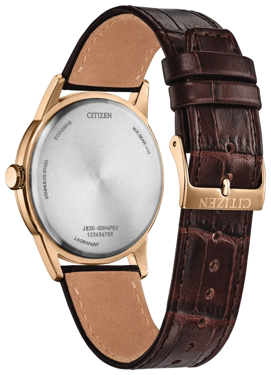 Citizen Rolan AW2113-16X 41 mm kol saati