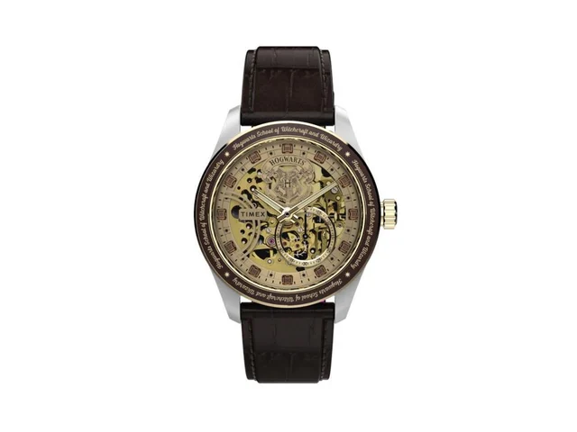 Timex TMX-TW2Y75500 kol saati