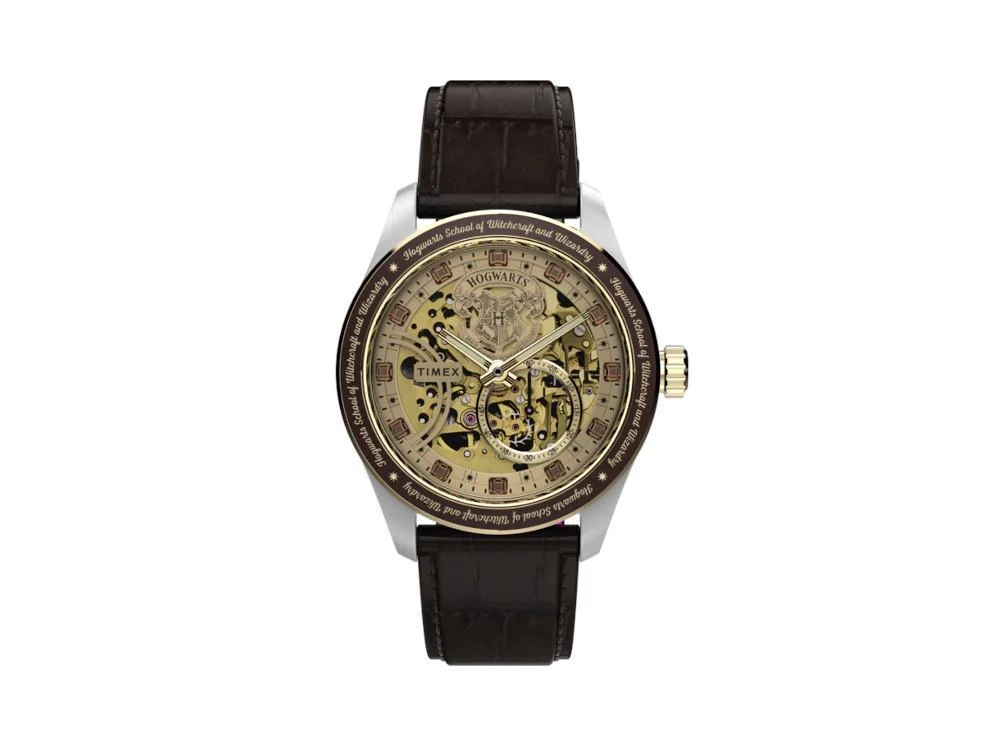 Timex TMX-TW2Y75500 39 mm kol saati