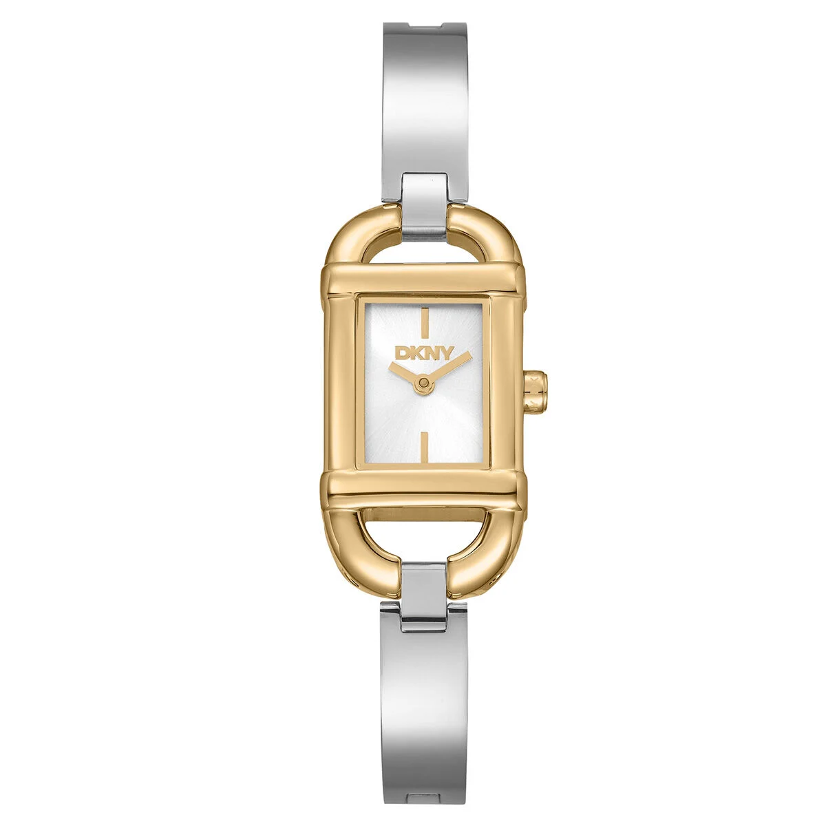 DKNY DK1L179M0255 18 mm kol saati