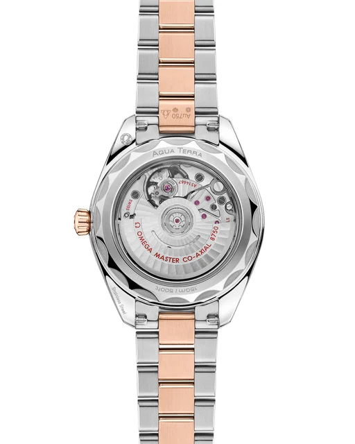 OMEGA Seamaster Aqua Terra 150M 220.20.30.20.63.001 kol saati