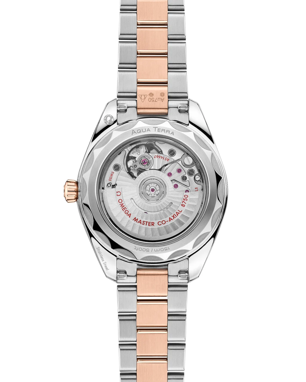 OMEGA Seamaster Aqua Terra 150M 220.20.30.20.63.001 30 mm kol saati