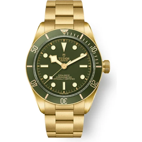 Tudor Black Bay 58 18K M79018V-0006 kol saati