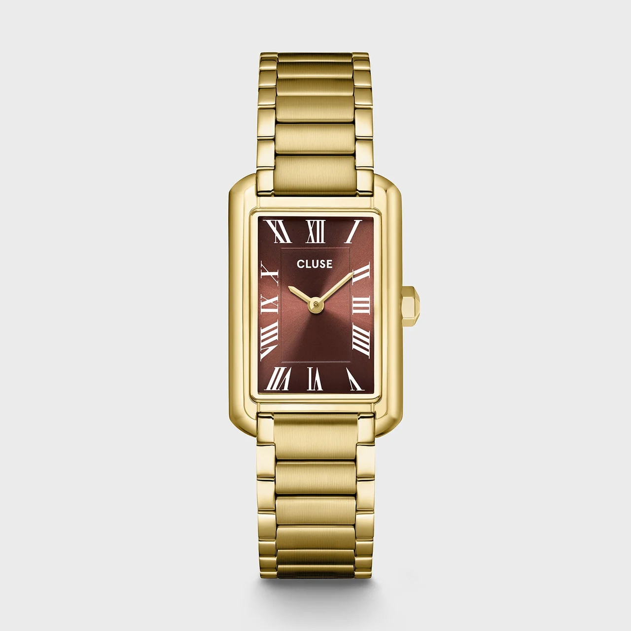 CLUSE Belisenna Watch Steel, Mocha, Gold Colour CW15010 kol saati