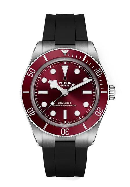 Tudor Black Bay 301753 kol saati