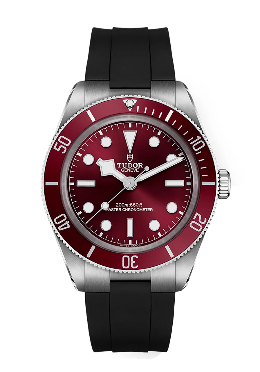 Tudor Black Bay 301753 39 mm kol saati