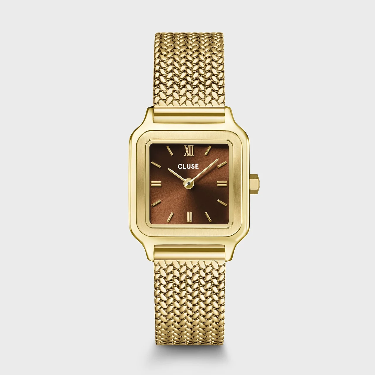 CLUSE Gracieuse Petite Watch Mesh, Brown, Gold Colour CW11830 kol saati