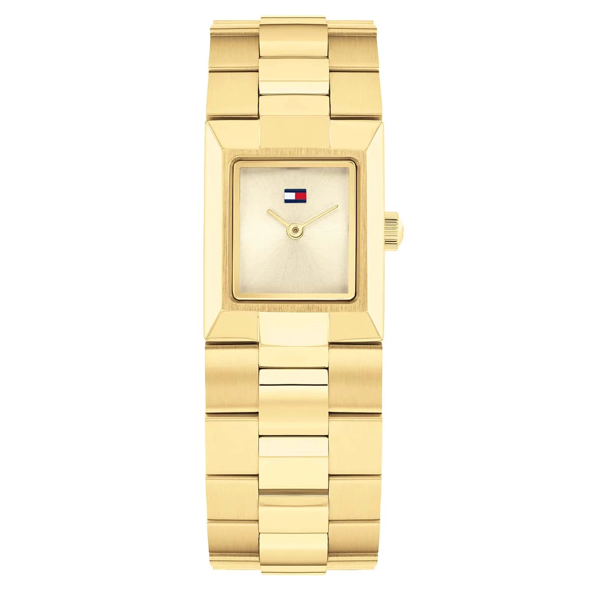 Tommy Hilfiger Ivy TH1782787 21 mm kol saati
